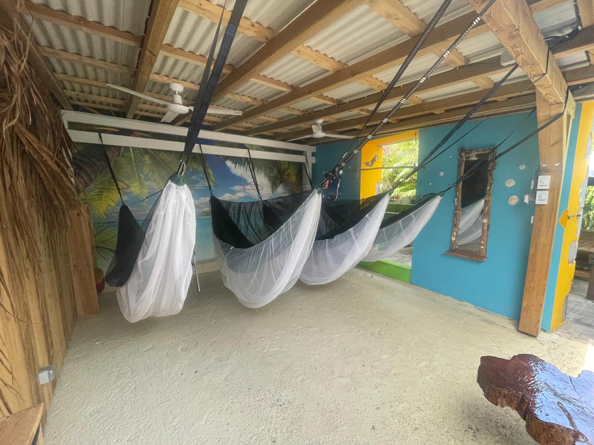 Les Hamacs Aux Saintes Bis Hotel Terre-De-Haut Bagian luar foto